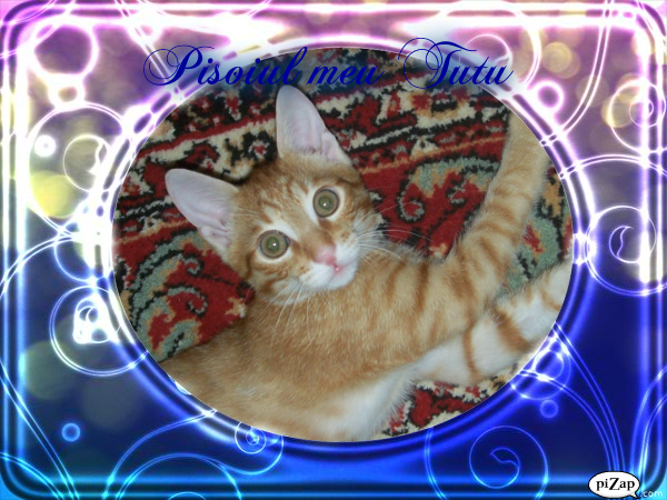 pizap.com13171496820831