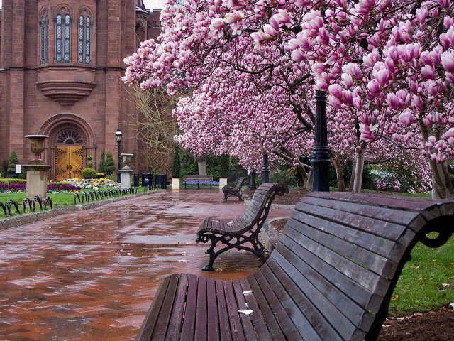 546255_301916616548516_100001905413676_736423_2030073199_n