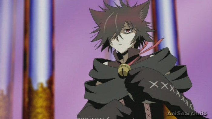 cheshire 6