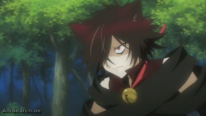 cheshire 9