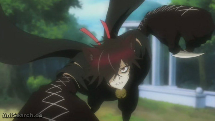 cheshire 10