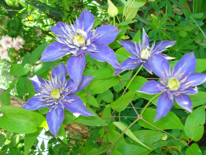 DSC08807