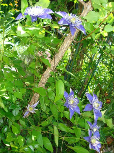 DSC08808