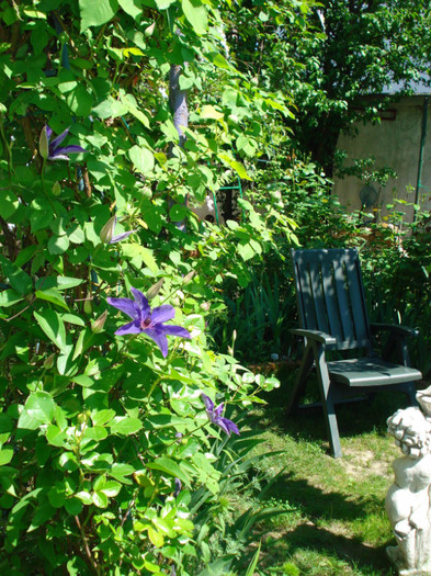DSC08771