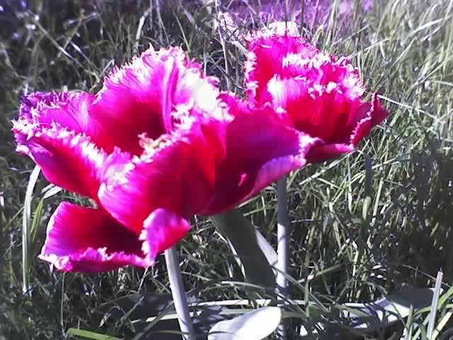 11-05-12_0927