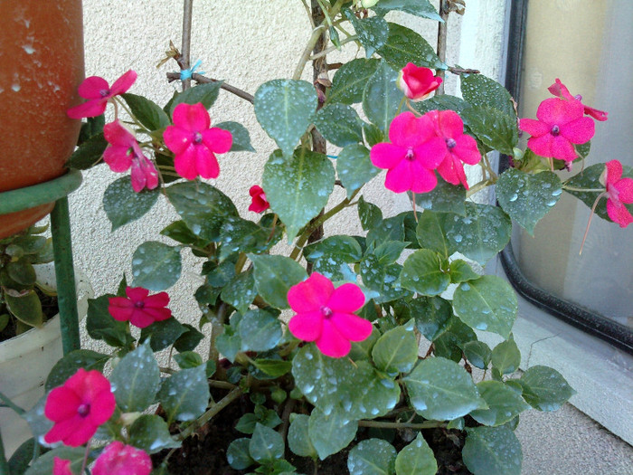 P110512_10.500003