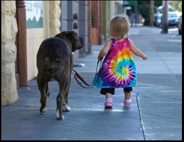 577723_10151615994401677_135679676676_10148622_1093189665_n - trandafiri NOU