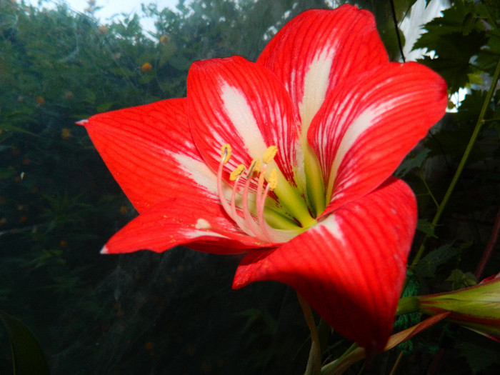 DSCN5017