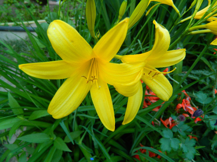 DSCN5041