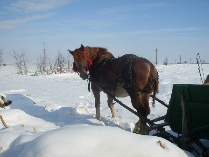10327_SDC13708[1]