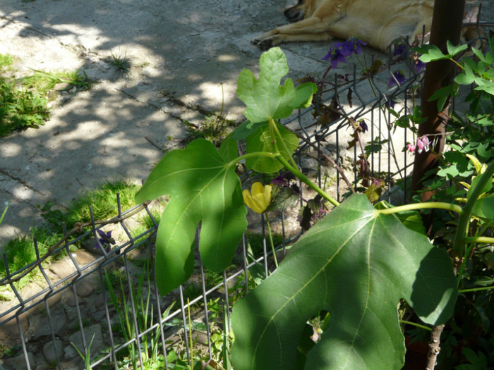 P1320989