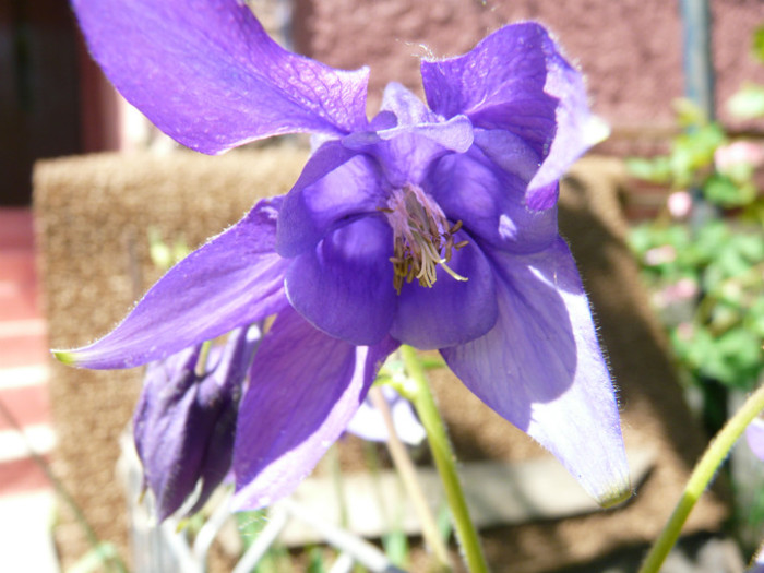 P1320993
