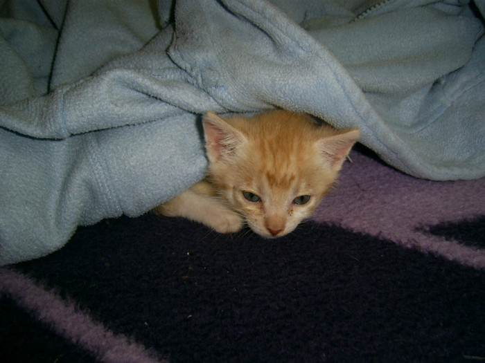 PIC_0032 - Baietii mei