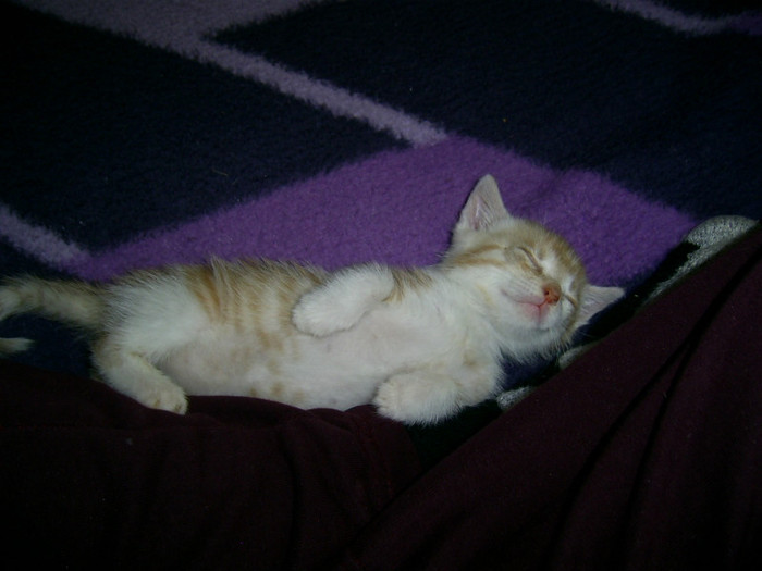 PIC_0012 - Baietii mei