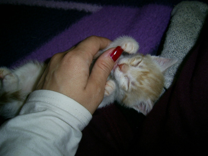 PIC_0017 - Baietii mei