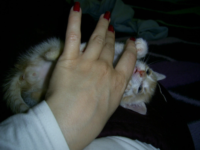 PIC_0042 - Baietii mei