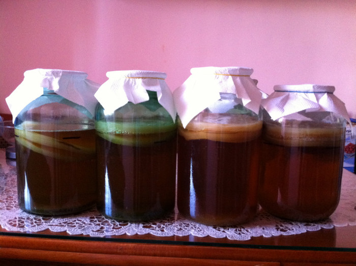 Poza Mai 2012-A - Kombucha