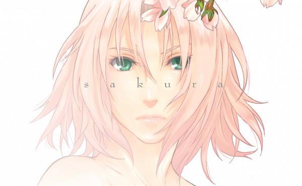 sakura-haruno-R-60838751349
