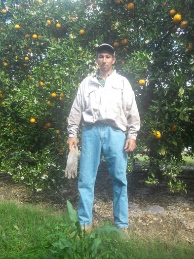 IMG_20120311_105839 - Apicultura din Florida in imagini