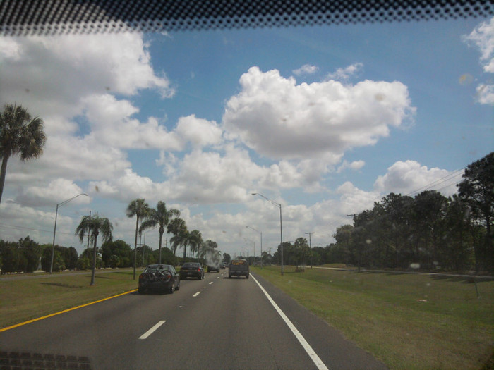 IMG_20120324_124708 - Apicultura din Florida in imagini