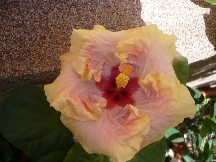 P1130504