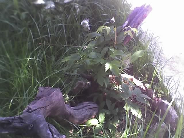 11-05-12_1120