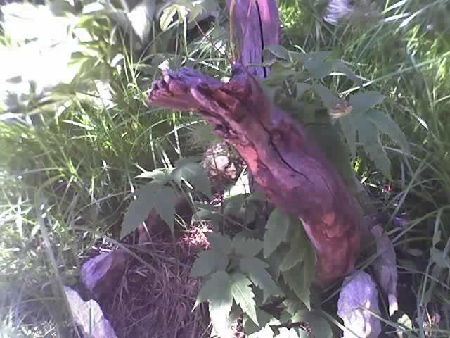 11-05-12_1121