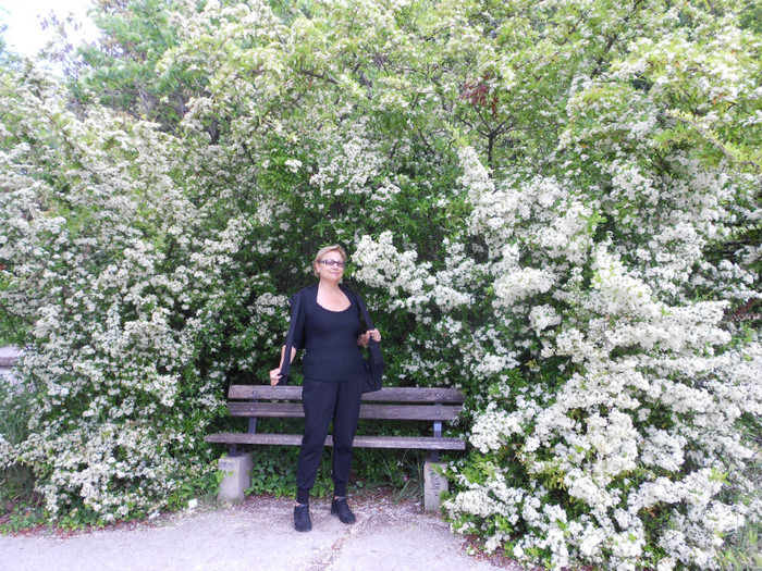 pacrul dela Jesi Italia