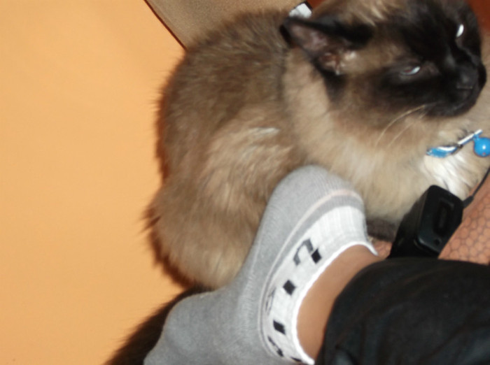 Picture 214 - BRUNO