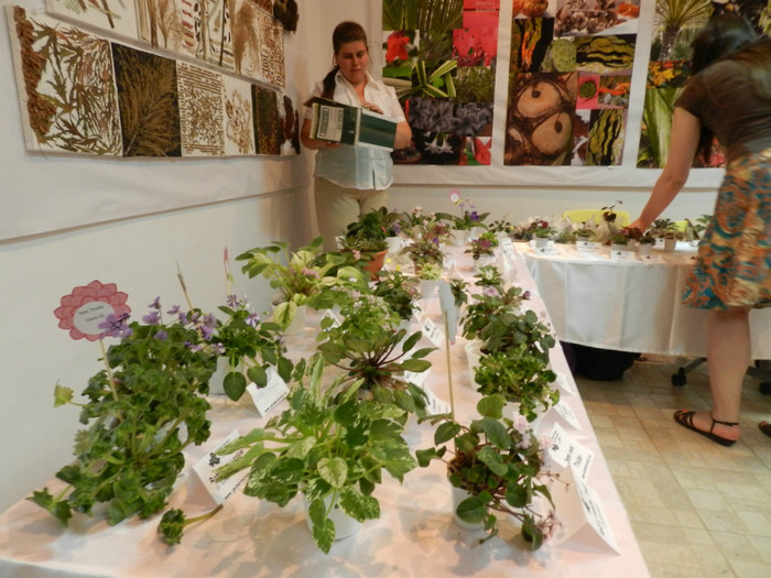 AM UN SARPE IN CUTIE...