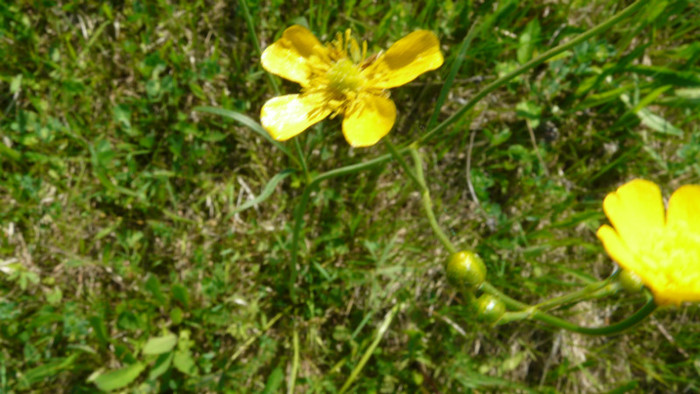 P1320738
