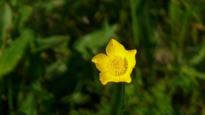 P1320756