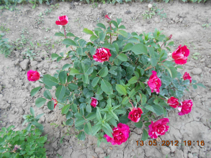 DSCN3073