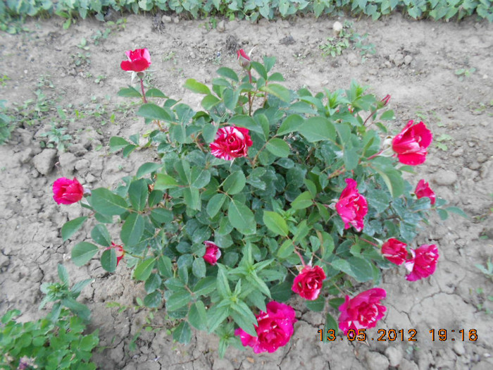 DSCN3074