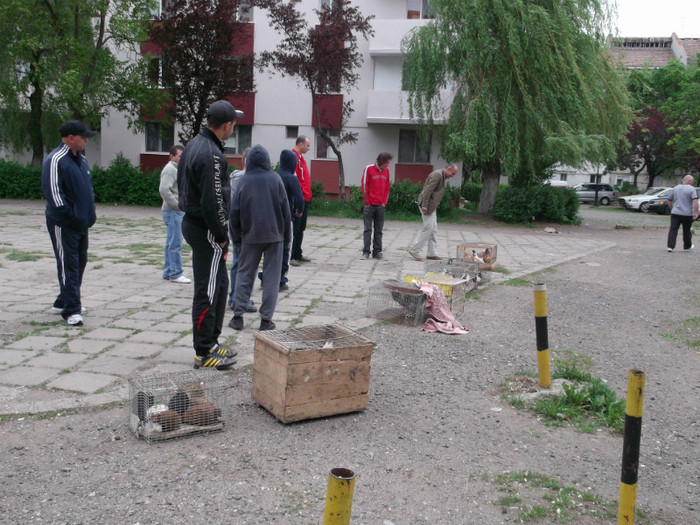 MARFA ABANDONATA DE.......VANT - NU CONTEAZA EDITIA BINE CA MERGE
