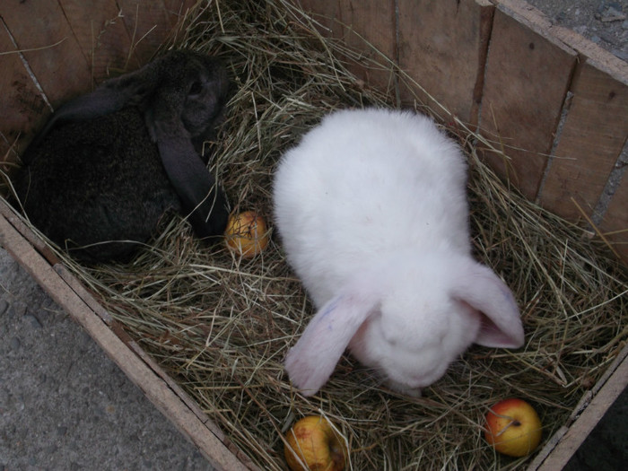 Picture 3497 Picture 3497