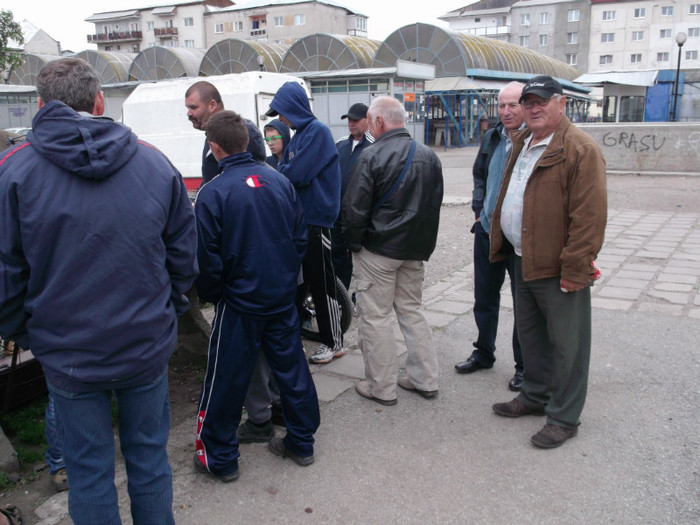 IMPATIMITI AI ANIMALELOR IMPATIMITI AI ANIMALELOR