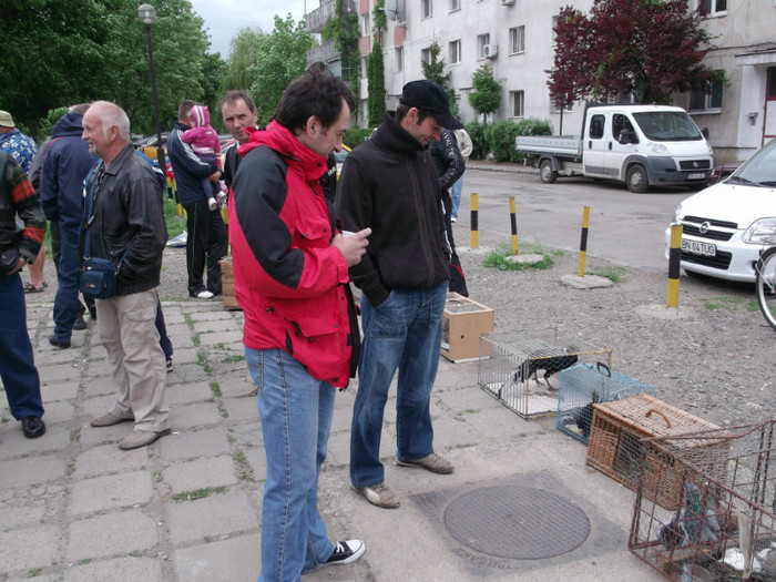 IN LOC SA DORM, VIN LA TARG IN LOC SA DORM, VIN LA TARG