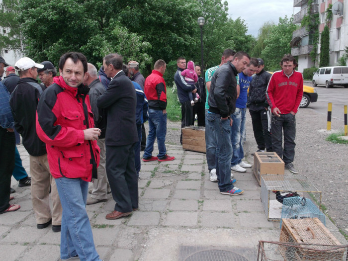 ZIUA VESEL NOAPTEA TRIST; ADI HAROSA DUPA SERVICIUL DE NOAPTE
 ZIUA VESEL NOAPTEA TRIST; ADI HAROSA DUPA SERVICIUL DE NOAPTE