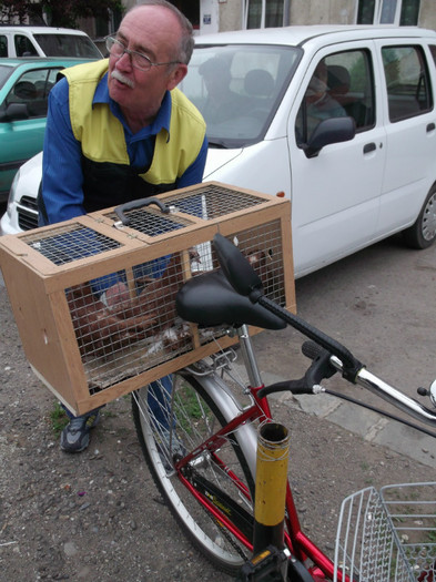 VICELE SE RETRAGE DIN COMPETITIE VICELE SE RETRAGE DIN COMPETITIE