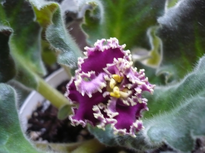 14.05.2012 - Sunset beach