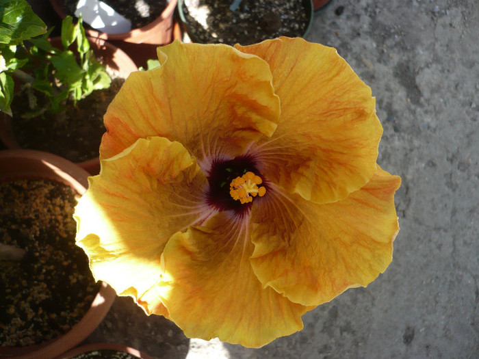 P1130555