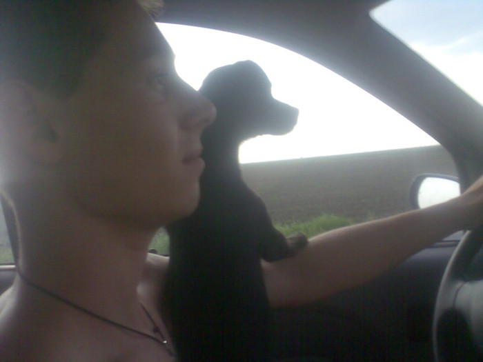 2 prieteni-eu n-o vreau ,el spune da