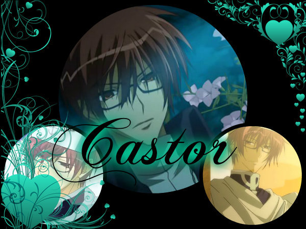 castor