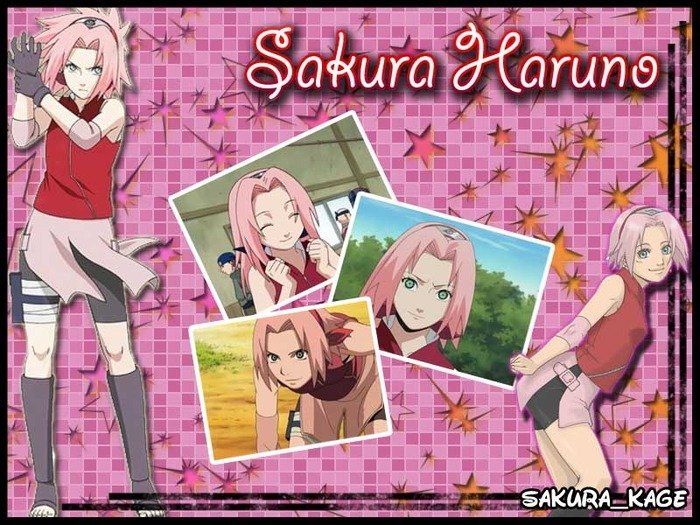 19 - Sakura