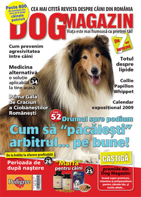 dog80 - votati o revista plz