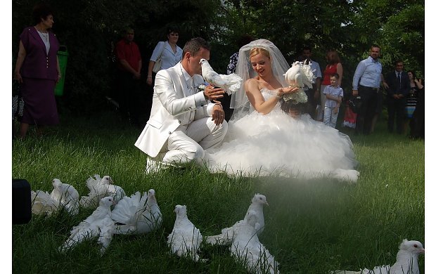 Sedinta foto in parc - LANSARI DE PORUMBEI LA NUNTI SIGHETU MARMATIEI