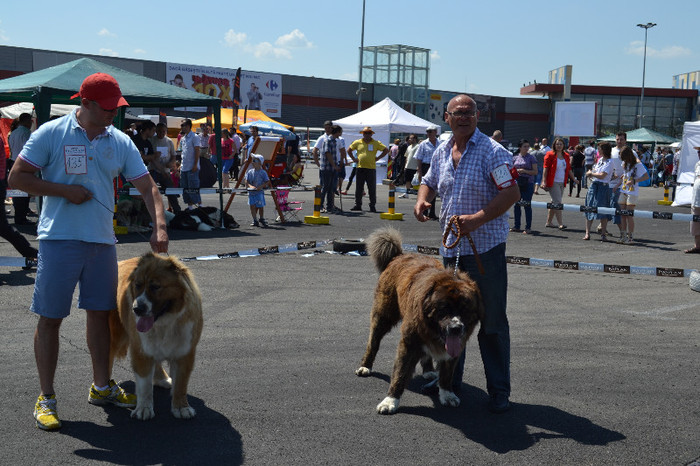  - EXPO CAC IASI 12 05 2012