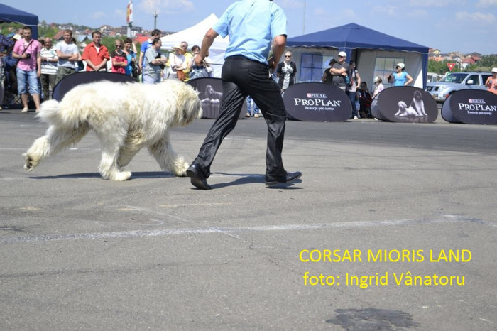 corsar1 - CAC Iasi - 12 mai 2012