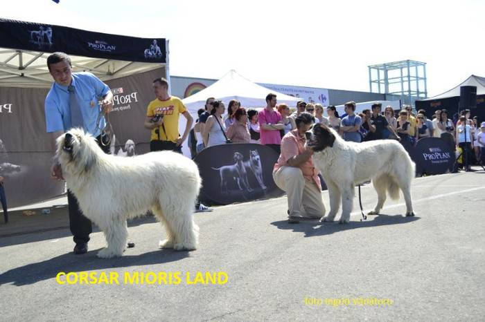 corsar4 - CAC Iasi - 12 mai 2012